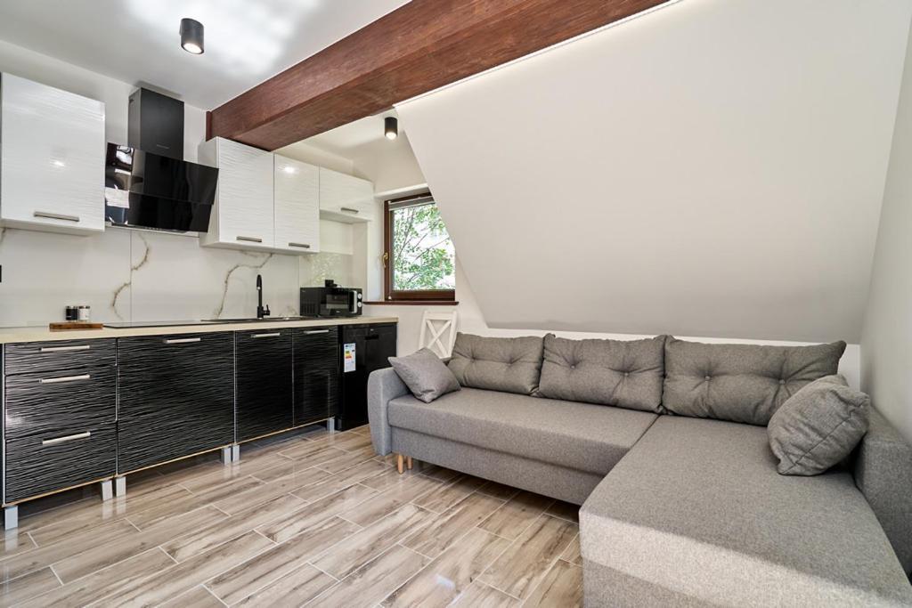Apartamenty U Kamila Zakopane Exterior photo